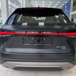 Lexus RX 2.0 AT, 2025 