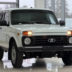 ВАЗ (LADA) 4x4 (Нива) 1.7 MT, 2019, 44 820 км 