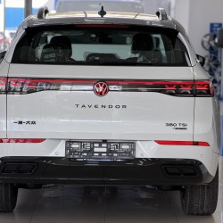 Volkswagen Tavendor 2.0 AMT, 2025 год