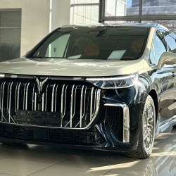 Voyah Dream 1.5 AT, 2023 год, 5 480 км