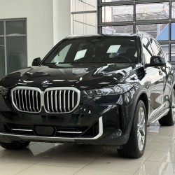 BMW X5 3.0 AT, 2023 год, 54 800 км